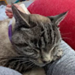 Meet your Posher, Pamela